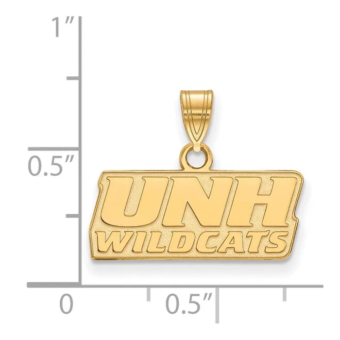Sterling Silver Goldplated University of New Hampshire Small Pendant TreasureFineJewelers Necklaces