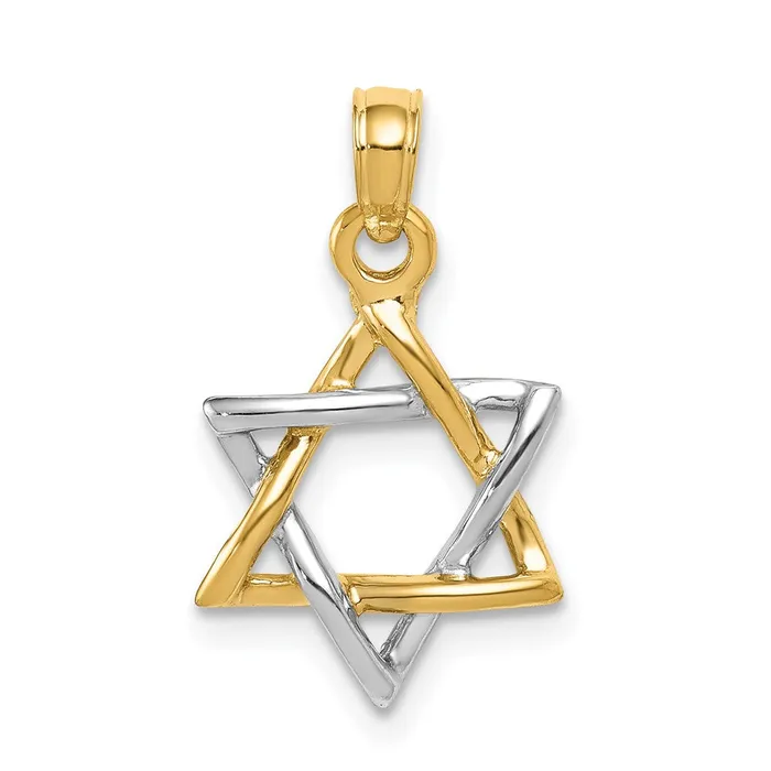 TreasureFineJewelers Necklaces 14K Twotone Polished Star of David Pendant TreasureFineJewelers Necklaces 14K Twotone Polished Star of David Pendant