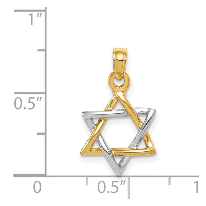 TreasureFineJewelers Necklaces 14K Twotone Polished Star of David Pendant