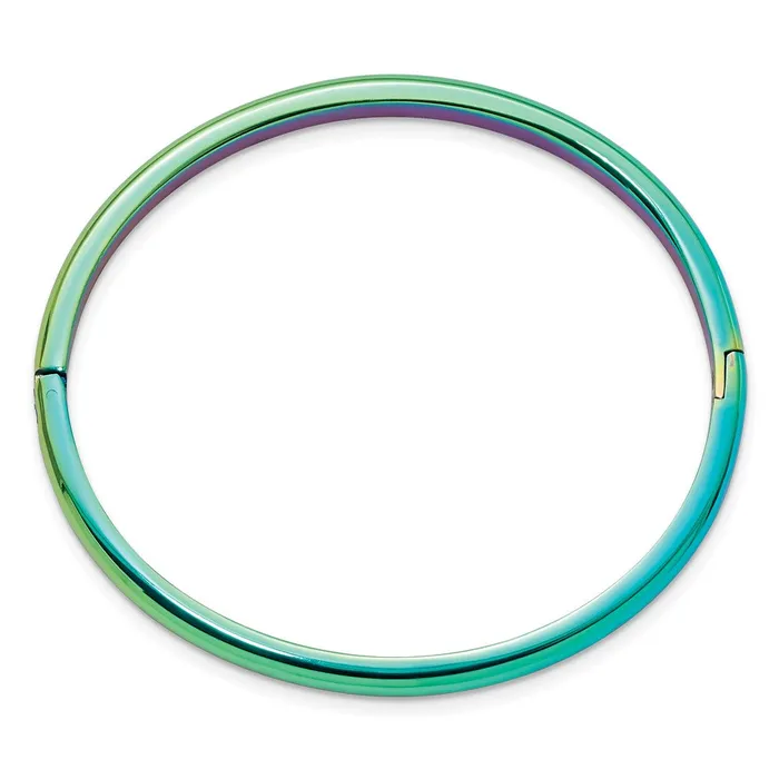 TreasureFineJewelers Stainless Steel Polished Rainbow IPplated 4mm Hinged Bangle Bracelets