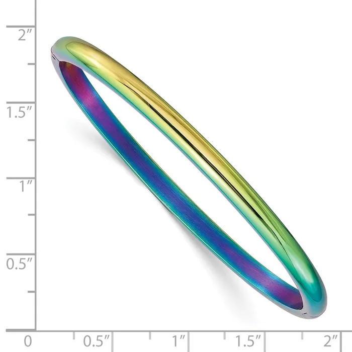 TreasureFineJewelers Stainless Steel Polished Rainbow IPplated 4mm Hinged Bangle Bracelets