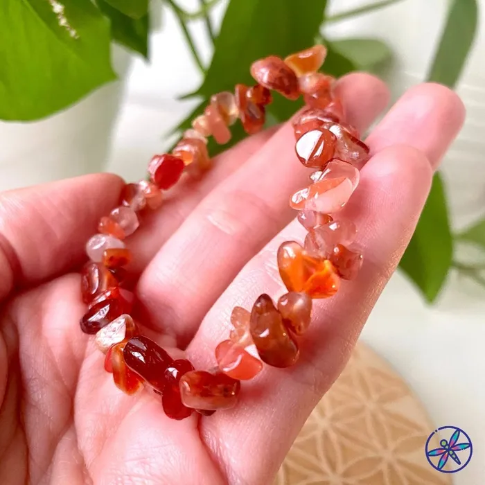 CSJA Bracelets Carnelian Chips Bracelet